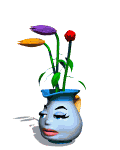 photo115.jpg